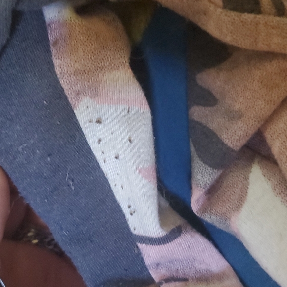 Lularoe Elizabeth - Picture 2 of 6